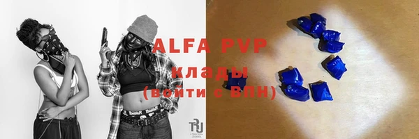 индика Балахна