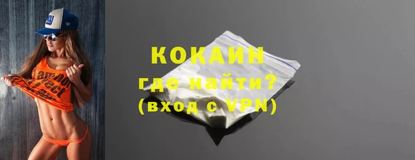 индика Балахна