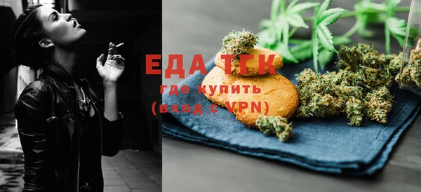 индика Балахна