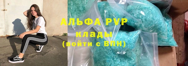 индика Балахна